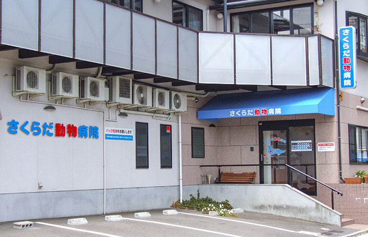 さくらだ動物整形外科