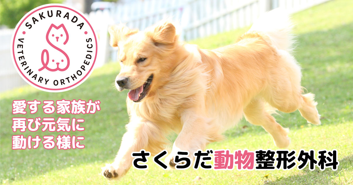 ボジュラブ　小動物の外科 動物の骨折・脱臼｜整形外科治療 - さくらだ動物整形外科