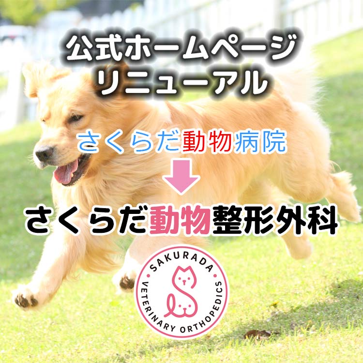 公式ホームページリニューアル