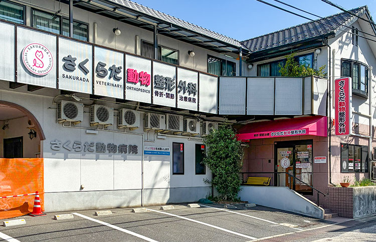 さくらだ動物整形外科