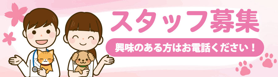 スタッフ募集